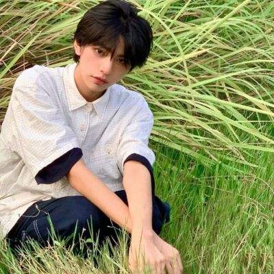 代理死神果盘版下载
